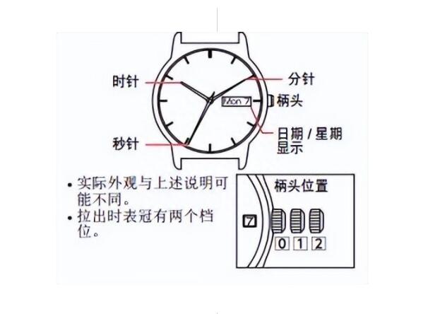 简单步骤：西铁城表怎样调日期和时间图解-第7张图片