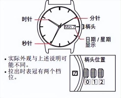 手把手教您西铁城怎么自动调时间教程-第8张图片